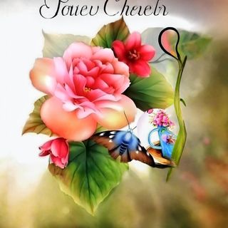 Focaccia sale e olio