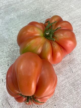 Tomate Monte Rosa 1kg.