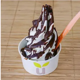 Yogur Helado Sabor Natural Tarrina (360 Ml.)