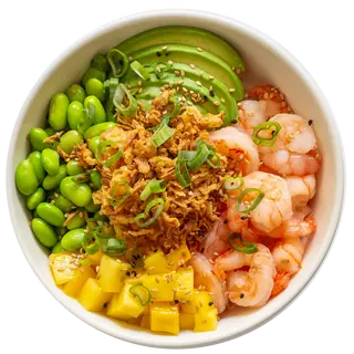 Gamba tropical