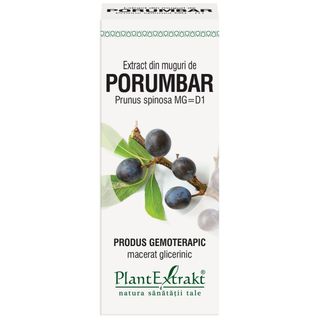 Extract din muguri de porumbar (PRUNUS SPINOSA)