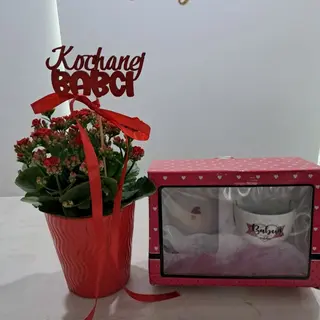 Kalanchoje w doniczce ceramicznej +kubek dla babci