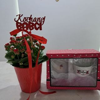 Kalanchoje w doniczce ceramicznej +kubek dla babci