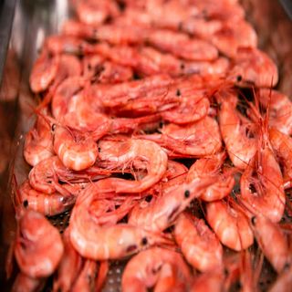 Quisquilla Hervida (100 G.)