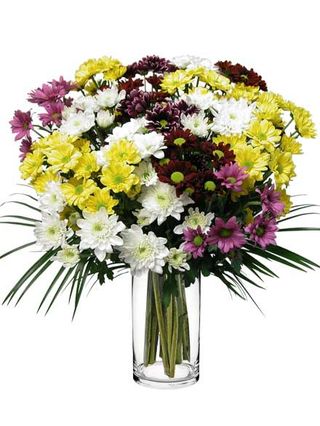 Ramo De Margaritas Multicolor