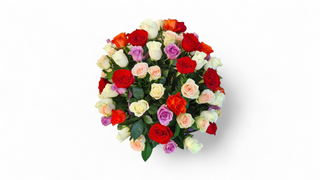 51 mix ruža korpa LUX