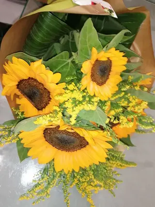 Fascio di girasoli