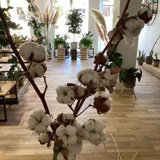 Flor de algodón 