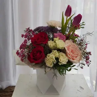 Box