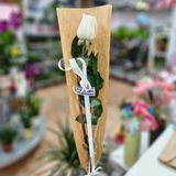 Rosa Blanca Unidad