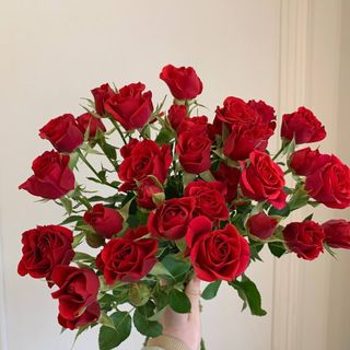 Букет з 7 кущових троянд сорту  Mirabel