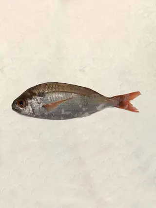 Besugo (720 Gr.)