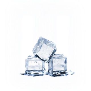 Sacchetto ghiaccio 2 kg