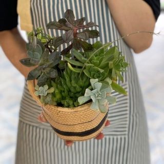 Композиция Утро на Балконе