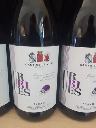 Sirah Cantine La Vite
