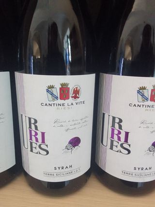 Sirah Cantine La Vite