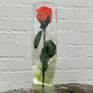 ROSA ETERNA CON TALLO COLOR NARANJA