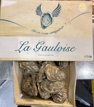 Ostriche special krystale n2