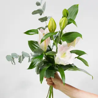 Fiore singolo confezionato