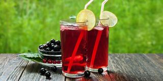 Мохито "Смородина" (400 мл.)