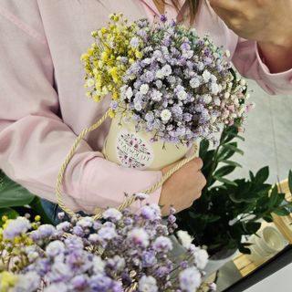 Flowerbox  gipsówka