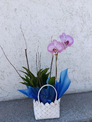 Aranjament cu orhidee