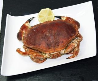 Buey De Mar 1 Kg. Aprox 1 Kg. Aprox