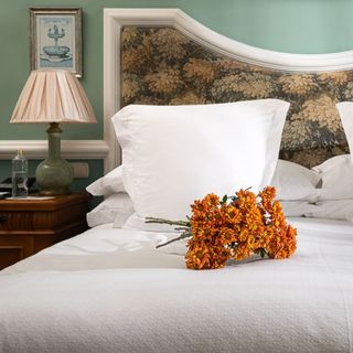 Ramo de 5 Margaritas Naranjas