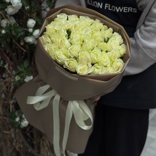 37 троянд в упакуванні Сноусторм 