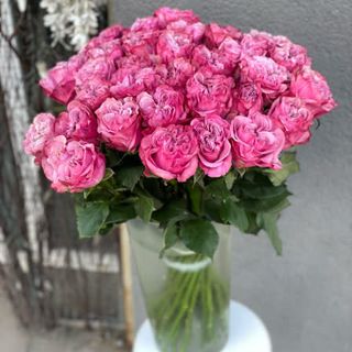 Голландська піоноподібна троянда в ассортименті, 1 шт