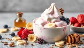 Yaourt Glacé Fruits Sec