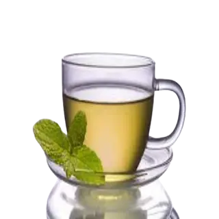 Infusión Menta
