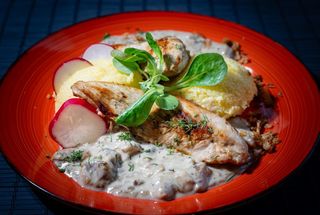 Ciulama de pui cu hribi și smântână / mămăligă