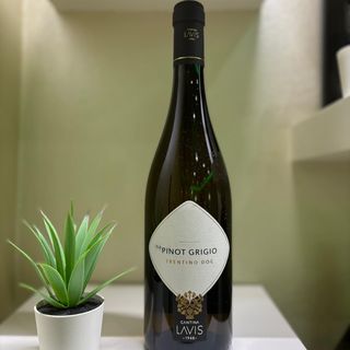 Vino Pinot Grigio