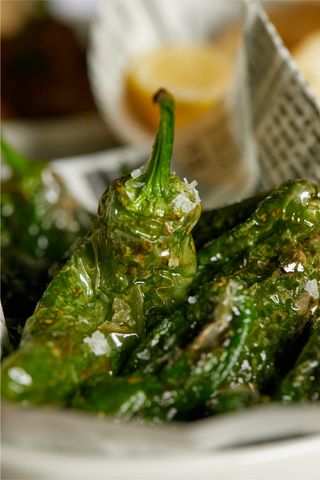 Pimientos de padrón