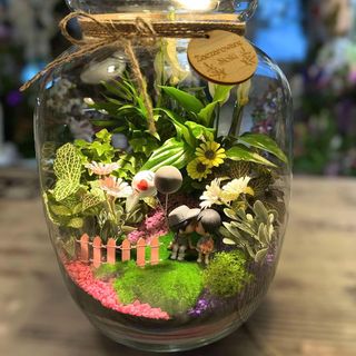 Las w szkle dla zakochanych 