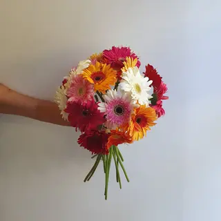 Bouquet Amolite
