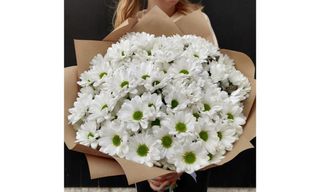 ქრიზანთემის ბუკეტი