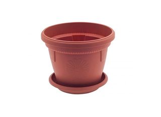 Саксия, кафява, Ф20