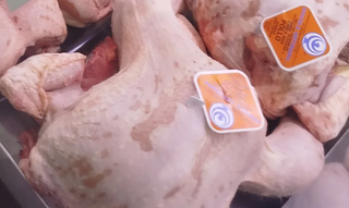 Pollo intero bianco biologico avicola artigiana 2,2 kg Ca. 
