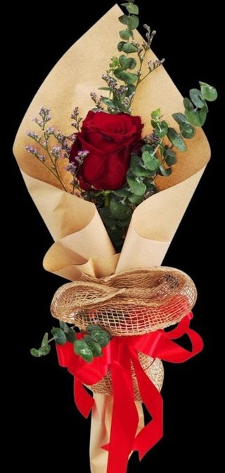 Rosa Equador Solitário