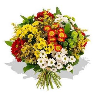 Ramo multicolor margaritas