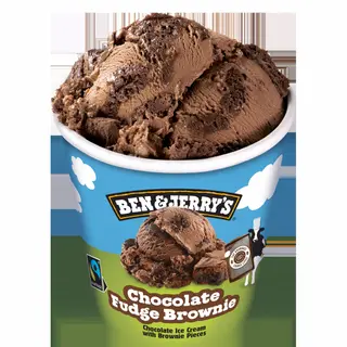BEN&JERRY'S Chocolate Fudge Brownie - Coppa 465ml