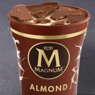Tarrina Magnum Almendras (440ML)