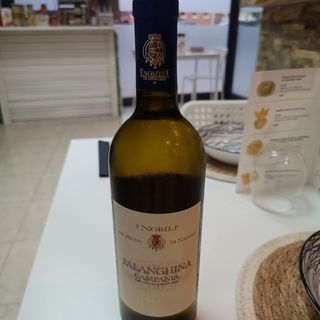 Vino blanco afrutado 