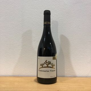 Vinho Tinto Valle Pradinhos 2018