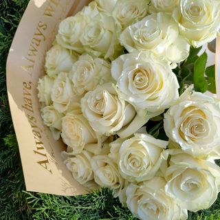Bukiet białych róż ,60 cm25 szt