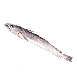 Pescadilla Pieza (Aprox. 1 Kg.)