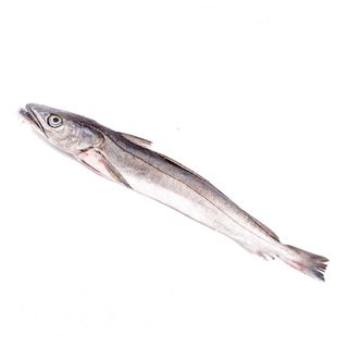 Pescadilla Pieza (Aprox. 1 Kg.)