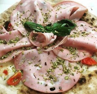 Bolognese - gigante